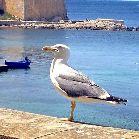 Apartment Lato Nord Il Blu Vista E Accesso Mare Diretto